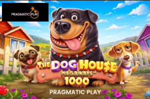 Game 6 Betfun Casino